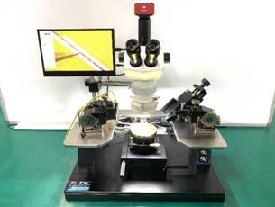 bevictor伟德官网