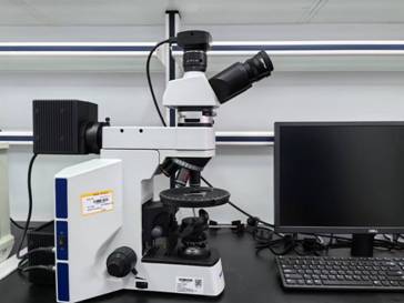 bevictor伟德官网