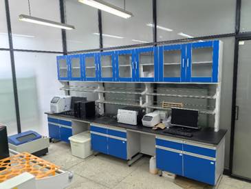 bevictor伟德官网