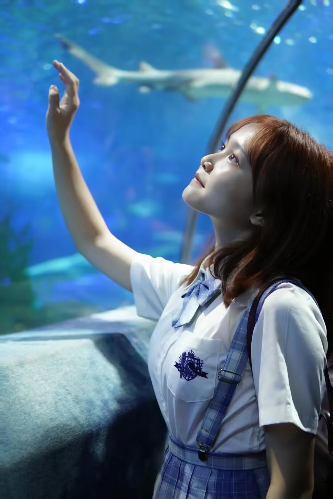 bevictor伟德官网