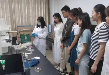 bevictor伟德官网