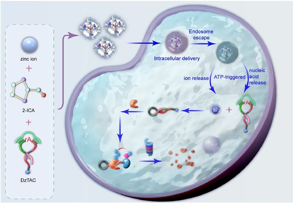 bevictor伟德官网